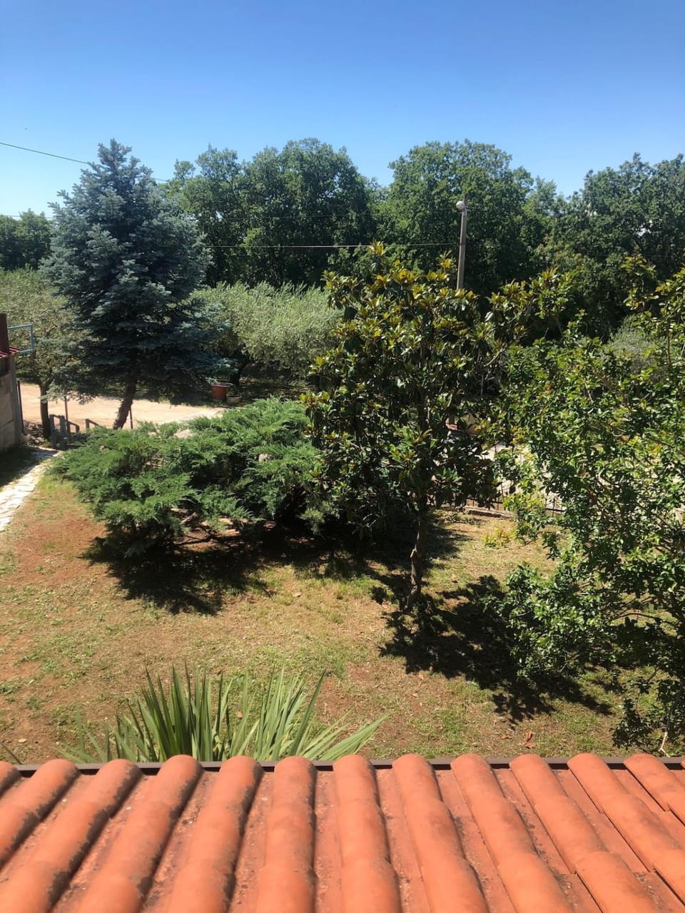 Garden view