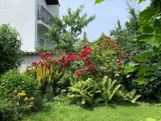 Garden, Garden view