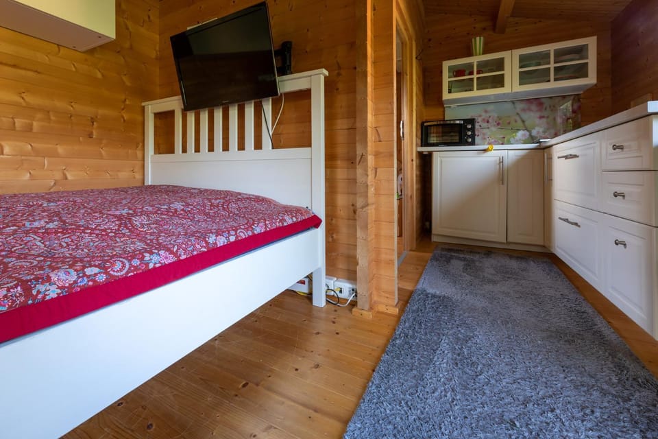 Bed, Kitchen or kitchenette, Photo of the whole room