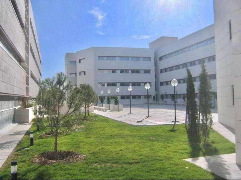 Property building, Day, Garden