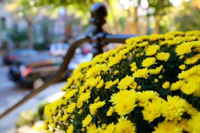 Stay in Prime Dupont Circle Location Apartment in Arlington