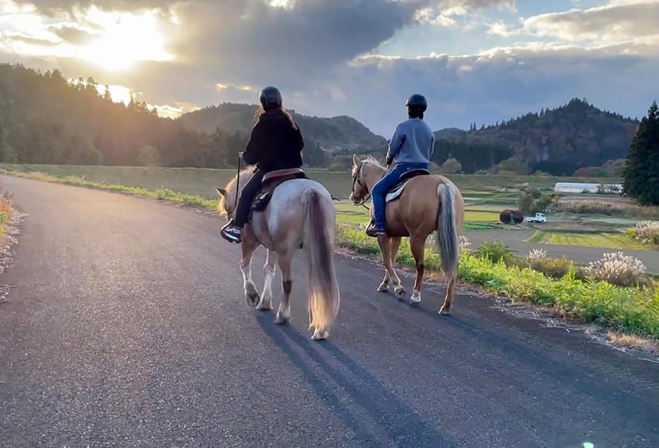 Activities, Horse-riding, Sports