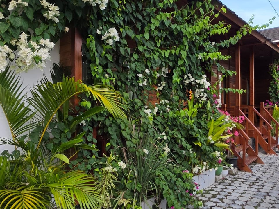Amore Nature lodge in Indonesia