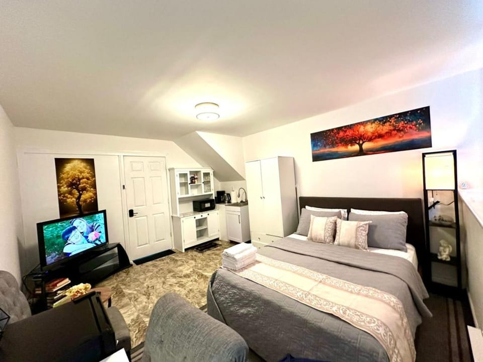 Bed, TV and multimedia, Photo of the whole room