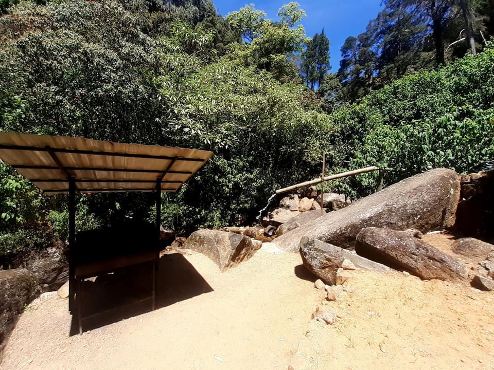 Forest View Rest Nuwaraeliya Bed and Breakfast in Nuwara Eliya