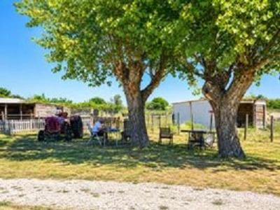 Le Mas de Mon Pere Bed and Breakfast in Saintes-Maries-de-la-Mer