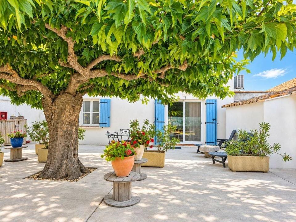 Le Mas de Mon Pere Bed and Breakfast in Saintes-Maries-de-la-Mer