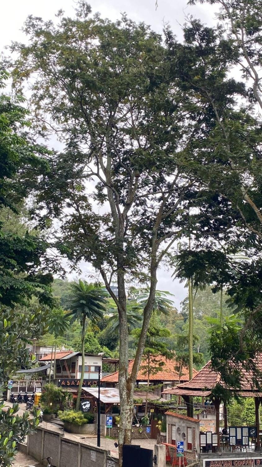 Asaan homestay Villa in Lembang