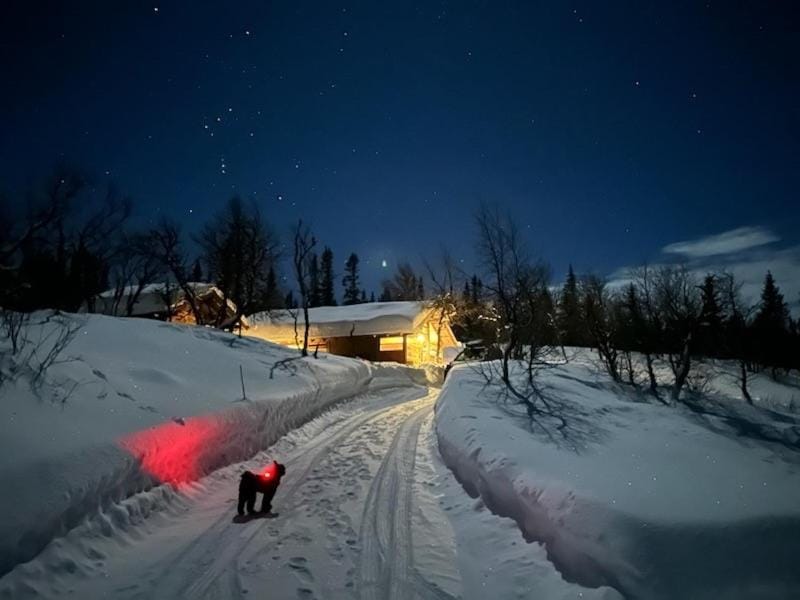 Property building, Natural landscape, Winter