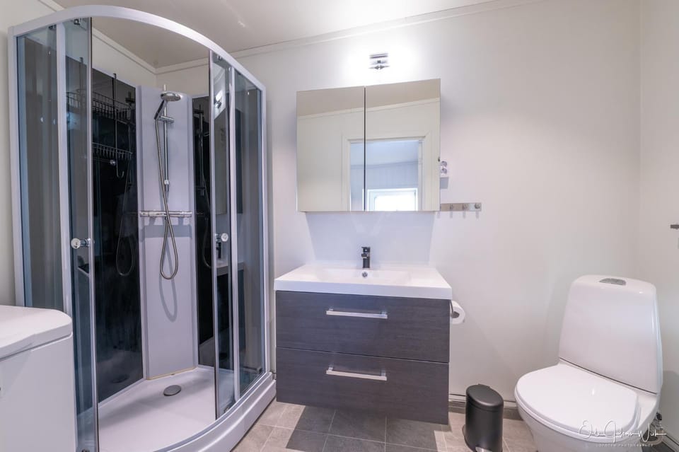 Shower, Toilet, Bathroom, washing machine