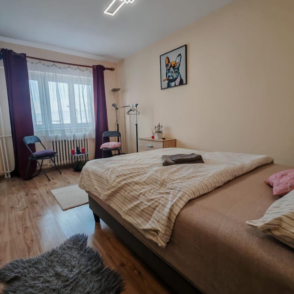 Magic Apartments 2 Apartment in Romania