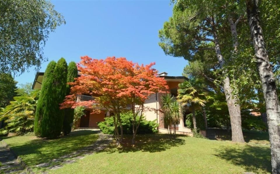 Property building, Garden, Garden, Garden view