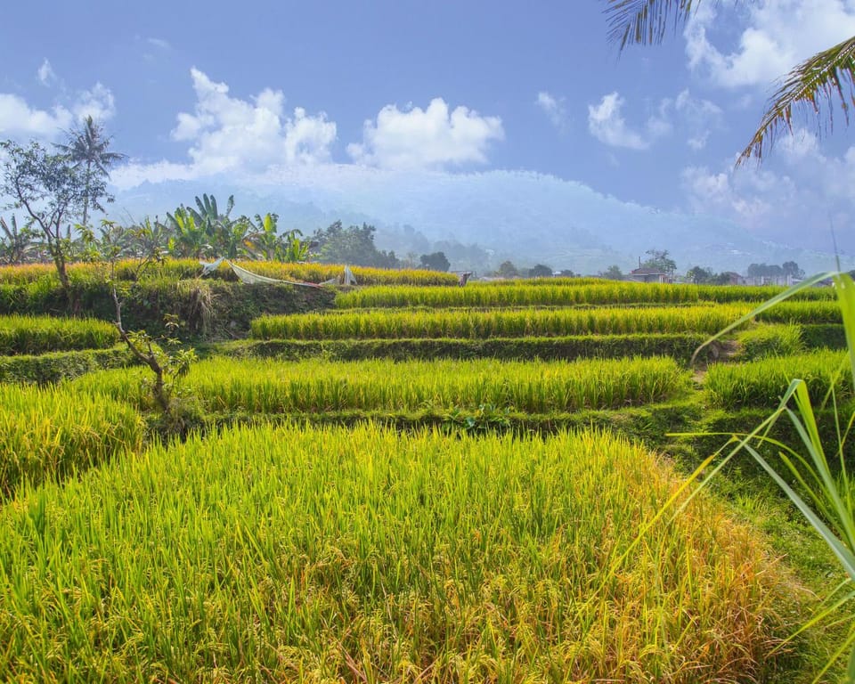 Day, Natural landscape, Garden view, Mountain view