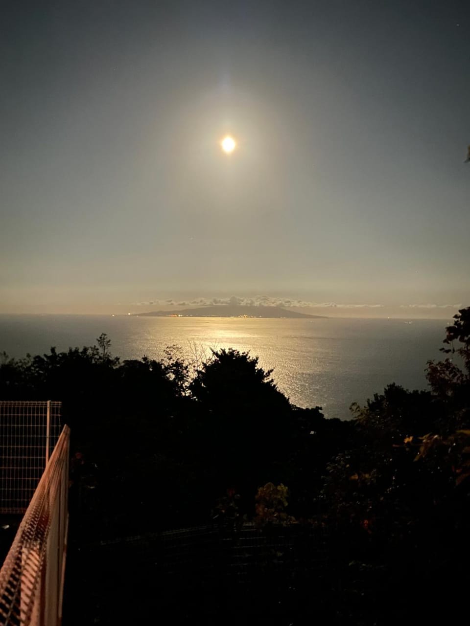 伊豆の観海荘 House in Shizuoka Prefecture