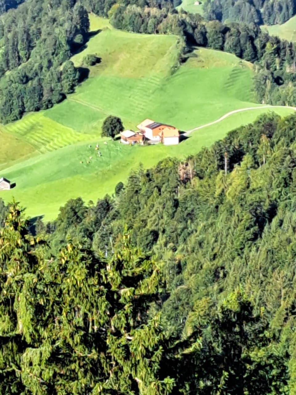 Strickerhof Bed and Breakfast in St. Gallen, Switzerland