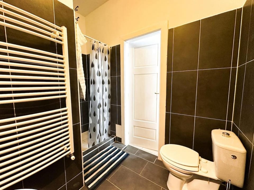 Shower, Toilet, Bathroom, bidet