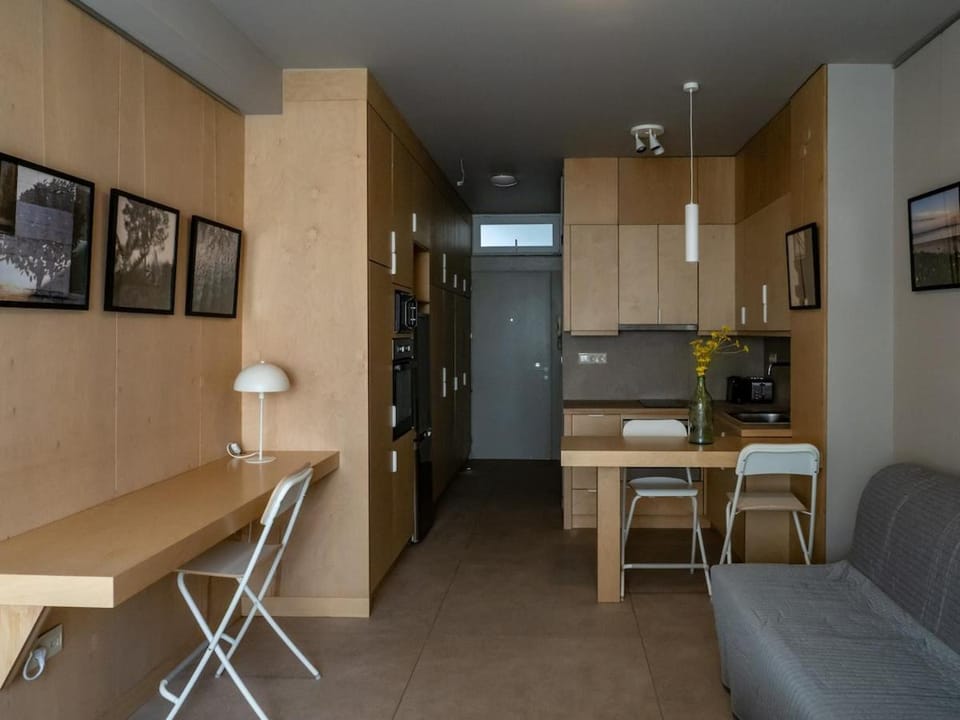 Downtown photographer's studio Apartment in Euboea