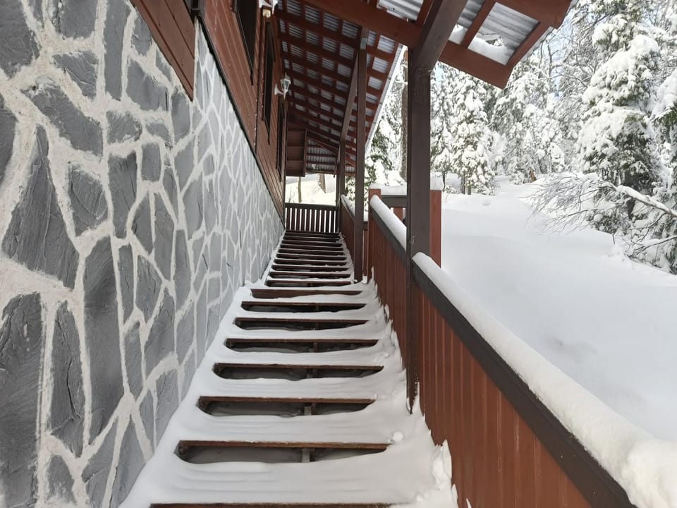 Kärpänrinne B House in Lapland