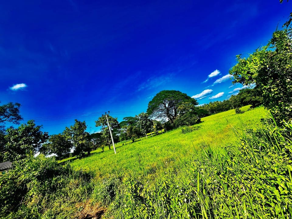 Natural landscape, View (from property/room)
