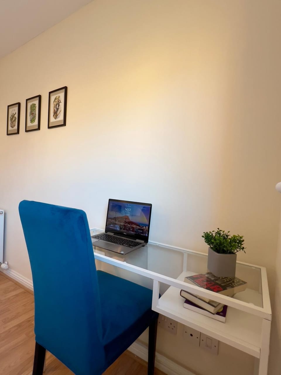 TV and multimedia, Business facilities, Decorative detail, Decorative detail