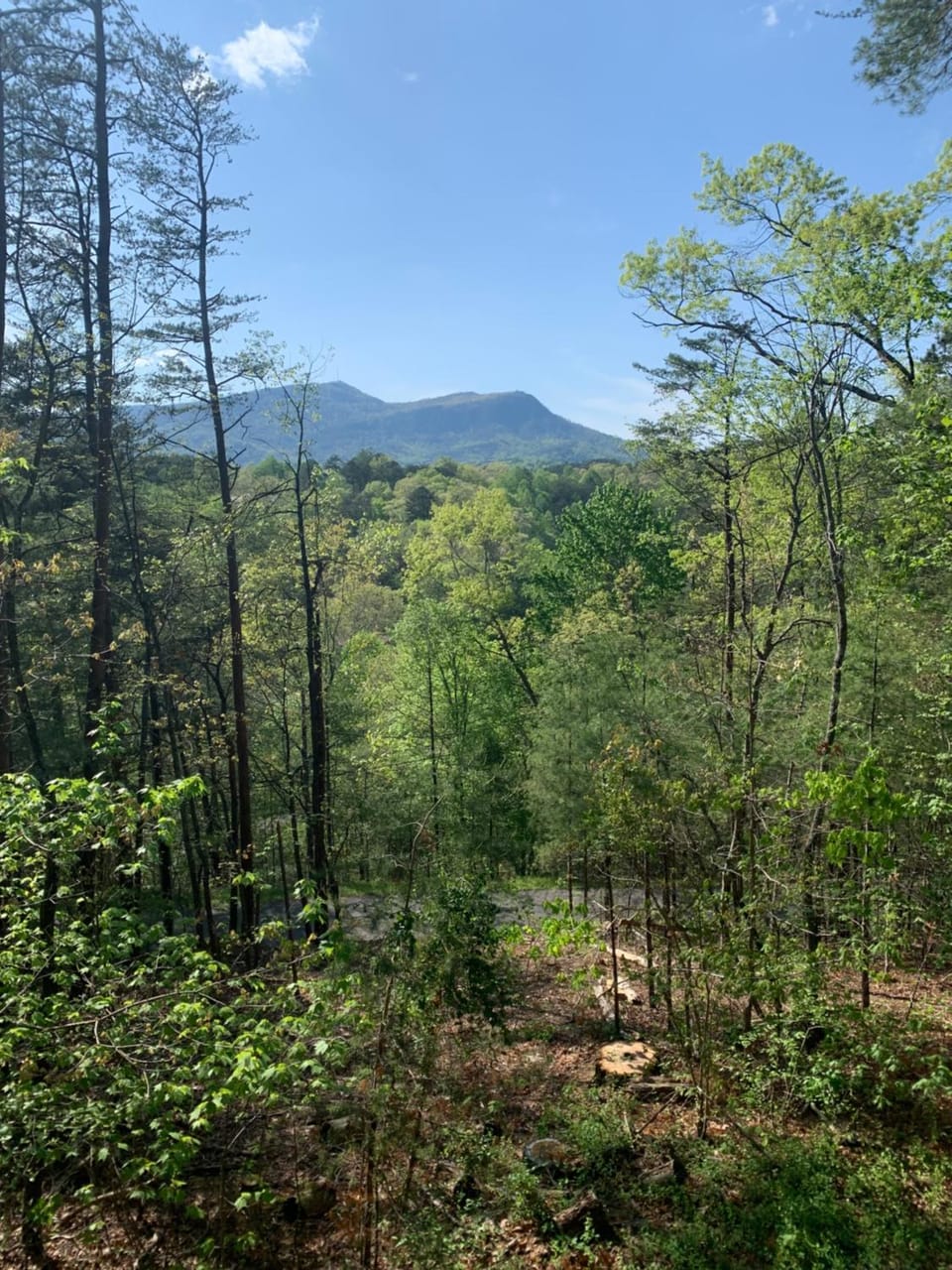 Mountain view
