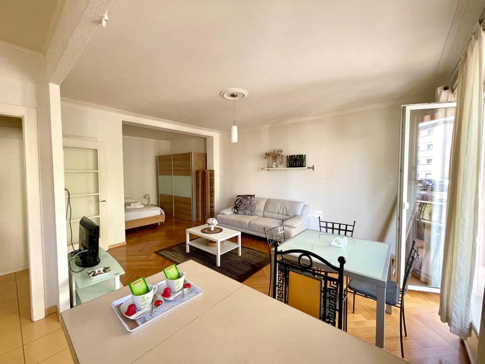 Apartment 9 minutes from Lausanne Train statio Apartment in Lausanne