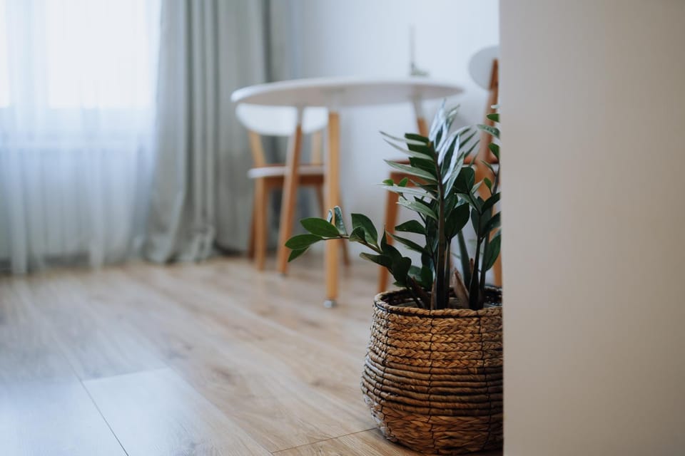 Kitchen or kitchenette, Decorative detail, Dining area