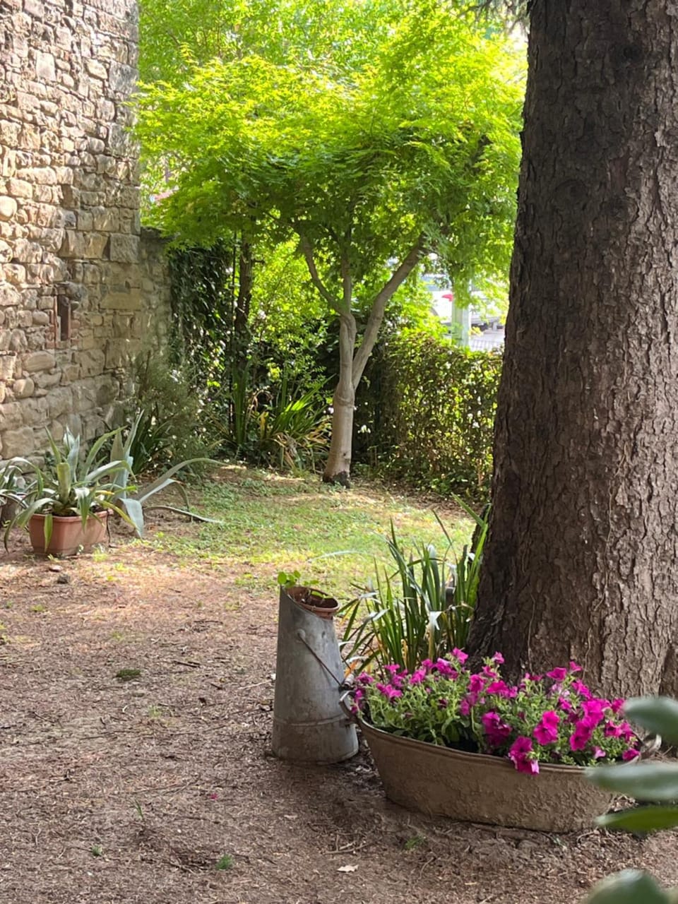 Day, Garden, Garden view