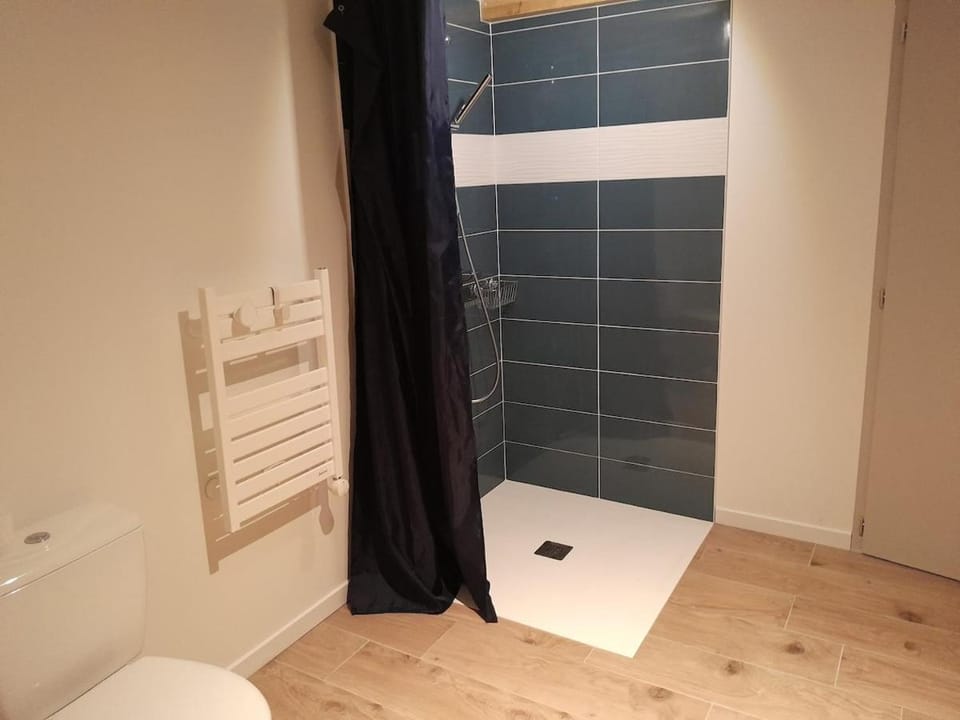 Shower, Toilet, Bathroom, towels, dryer