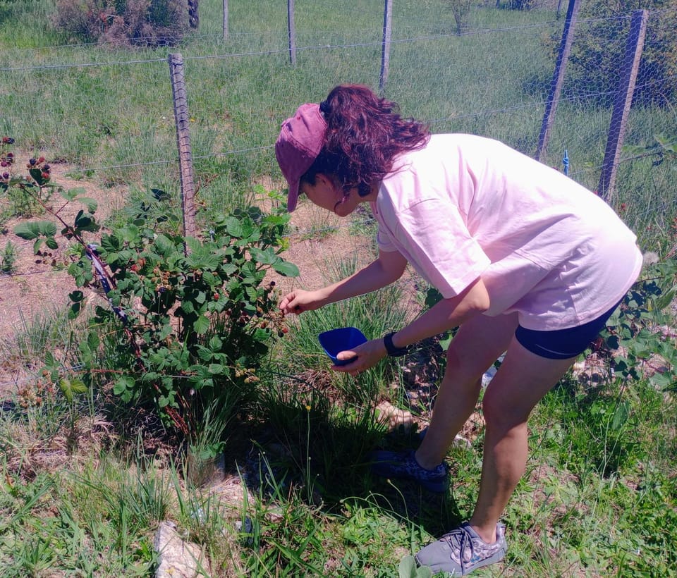 Garden, Garden