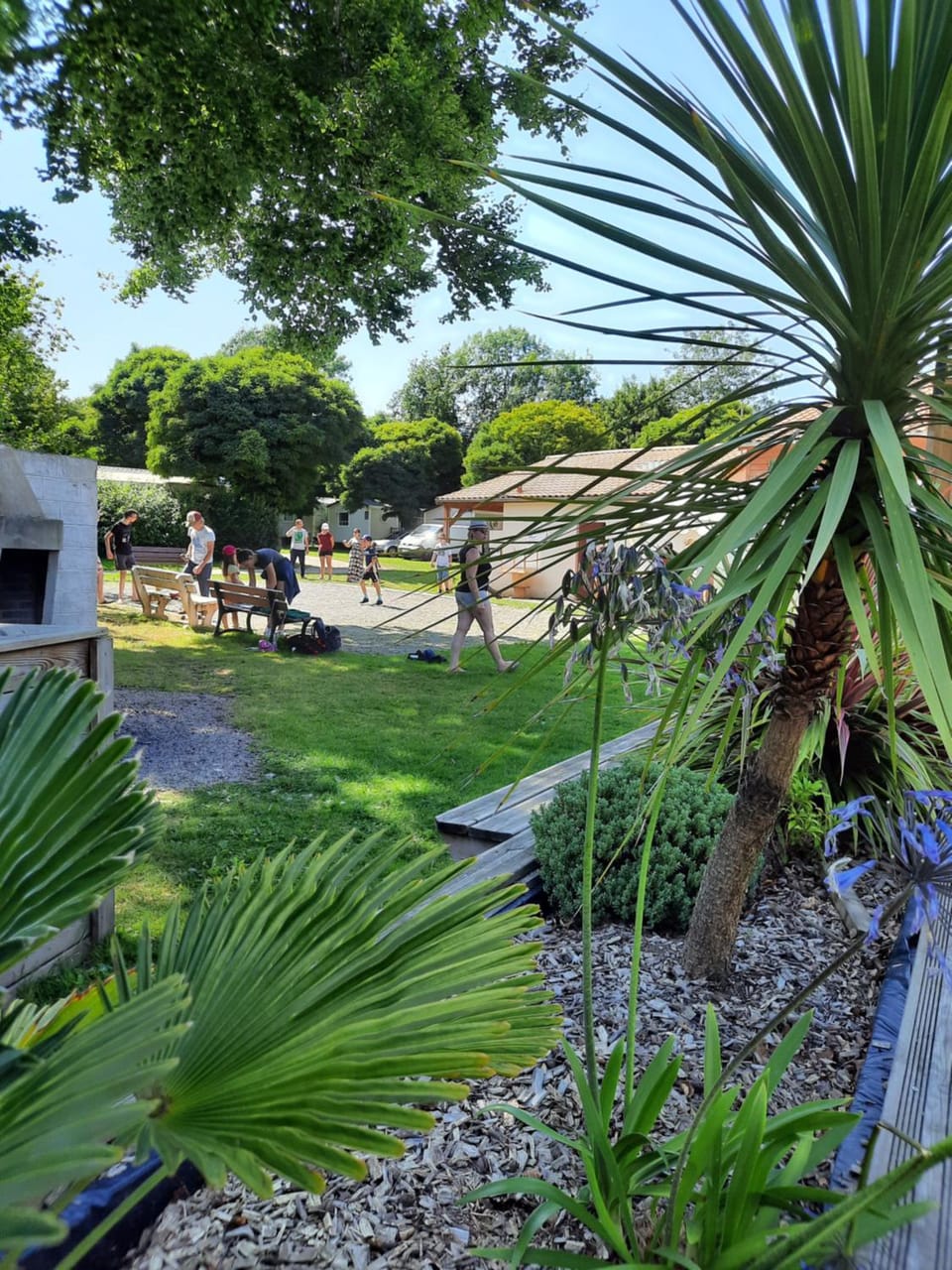 BBQ facilities, Sports