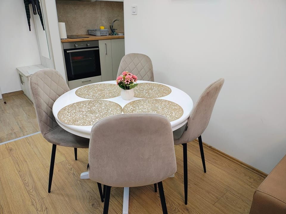 Apartman Nesa Apartment in Serbia