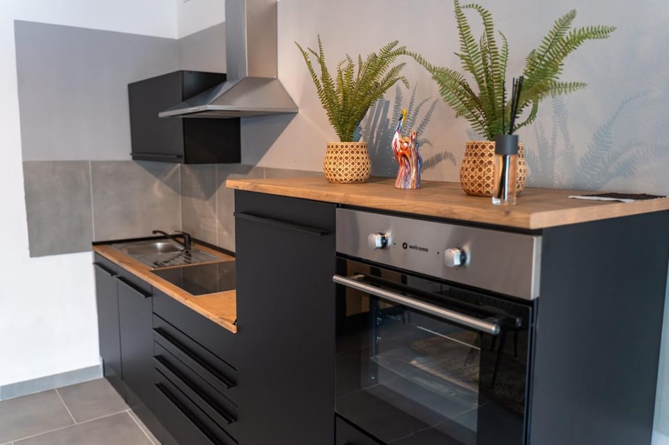 EIN Zi APARTMENT ZENTRUM WLAN PARKPLATZ 01 Apartment in Offenbach