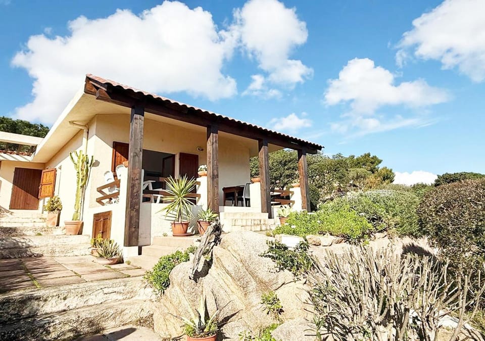 Property building, Spring, Day, Garden, Garden view