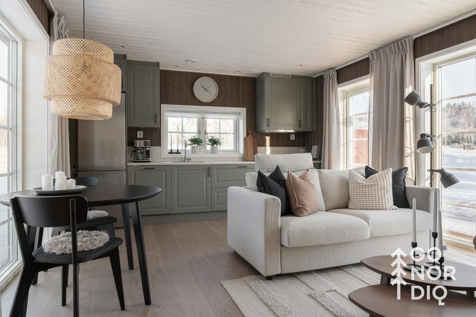 Living room, kitchen