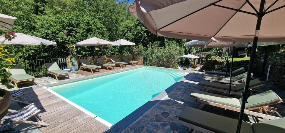 Spring, Day, Natural landscape, Garden view, Pool view, Swimming pool, sunbed