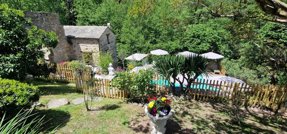 Property building, Spring, Day, Natural landscape, Garden, Garden view