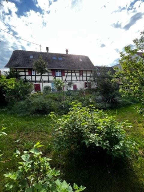 Alsatian studio garden - parking - 20min Stras Apartment in Grand Est