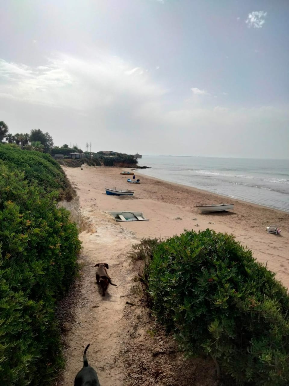 Sea view