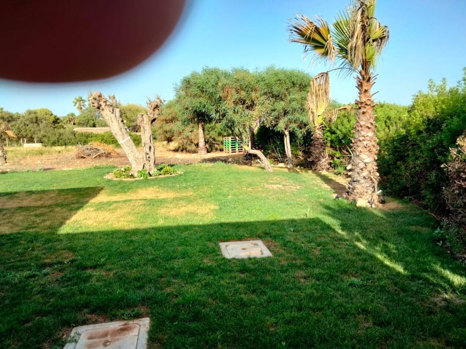 Filhome Mare Apartment in Santa Maria del Focallo