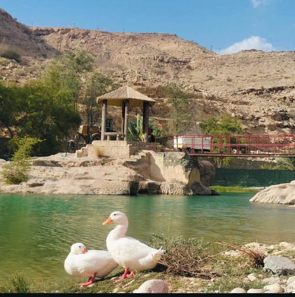 Maqal Guesthouse Chalet in Oman