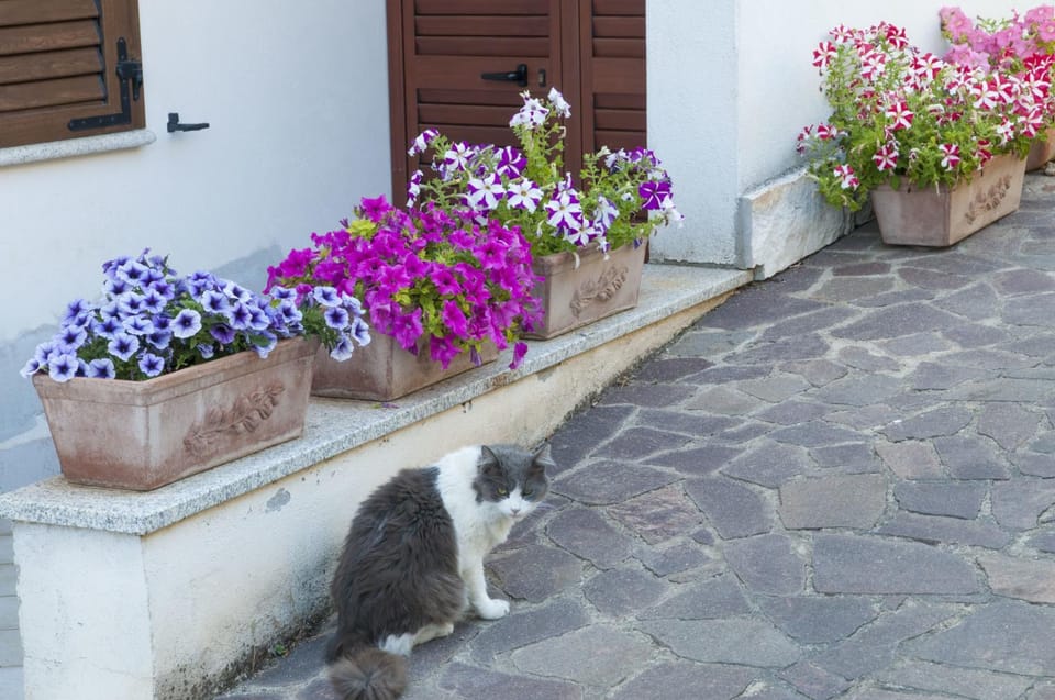 B&B Le Fresie Bed and Breakfast in Sardinia