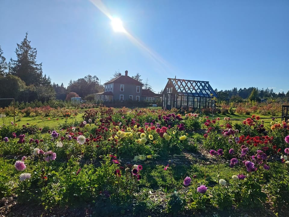 Property building, Garden