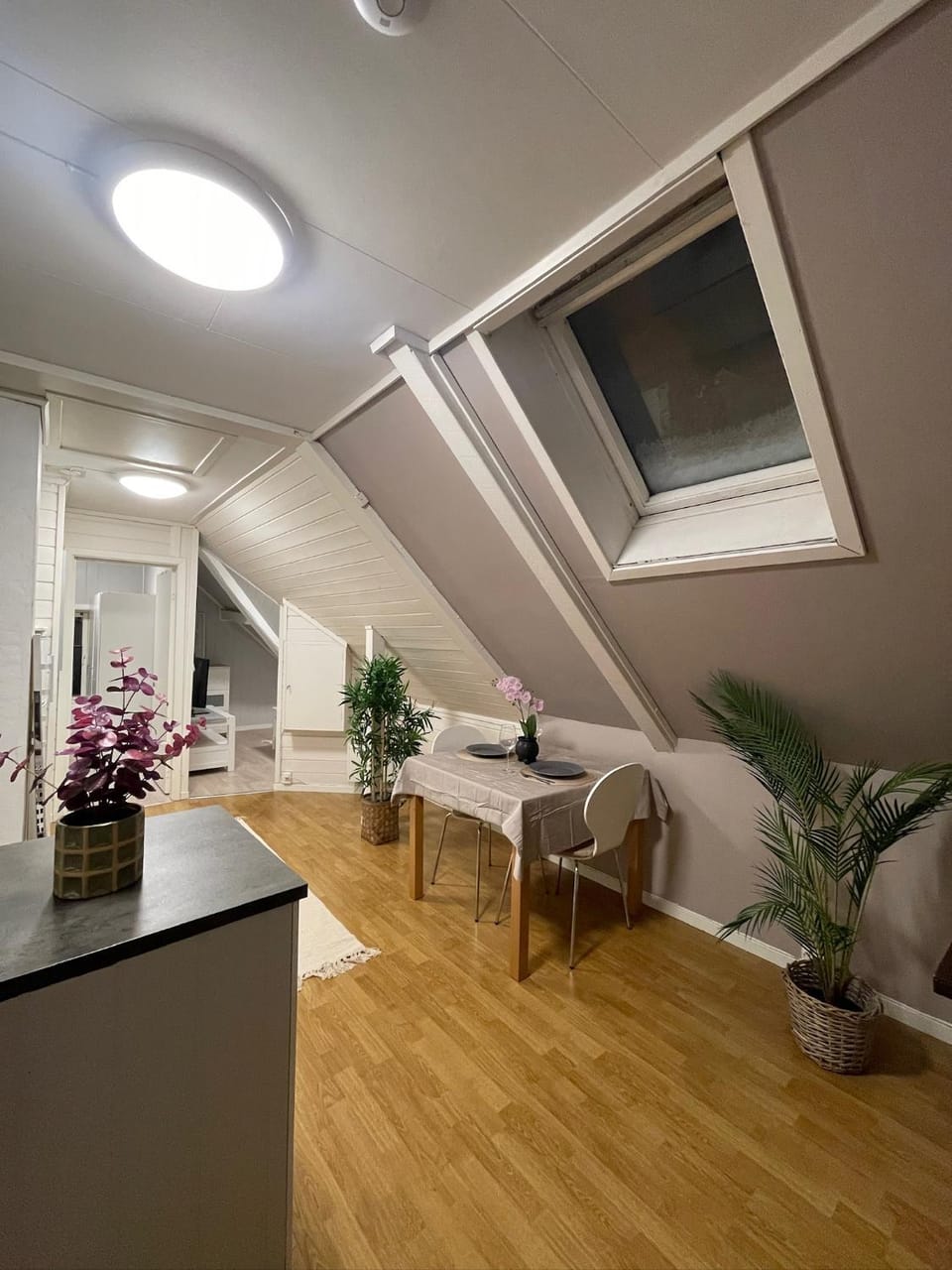 Kitchen or kitchenette, Living room, Seating area, Dining area