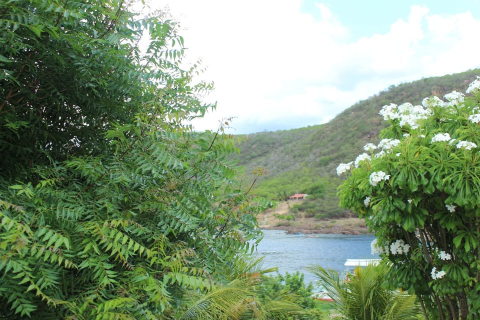 Natural landscape, Mountain view, River view