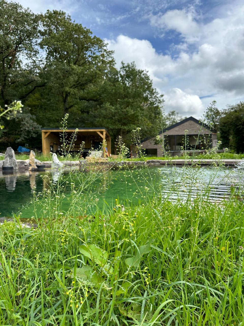 Garden view, Swimming pool