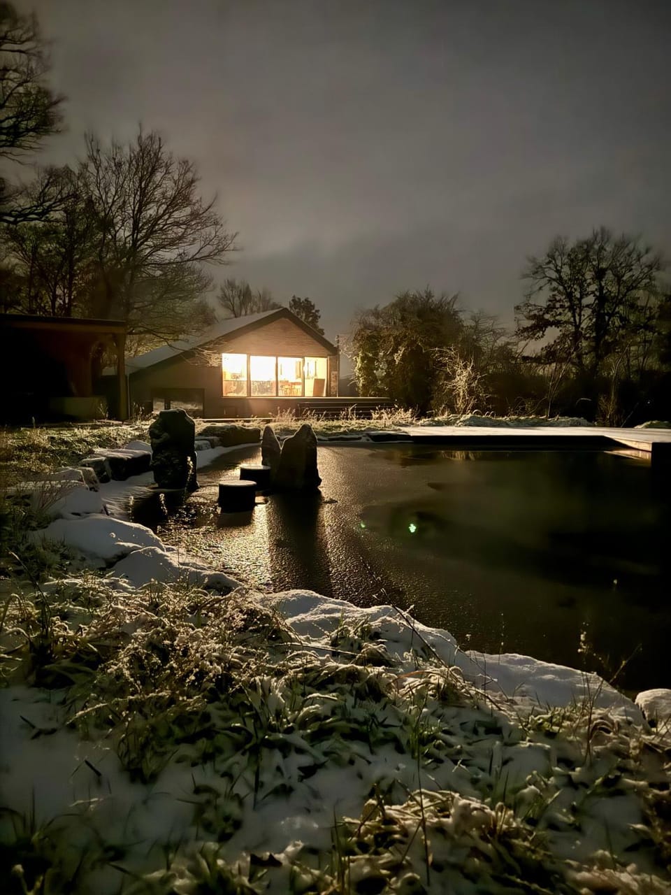 Winter, Garden, Swimming pool