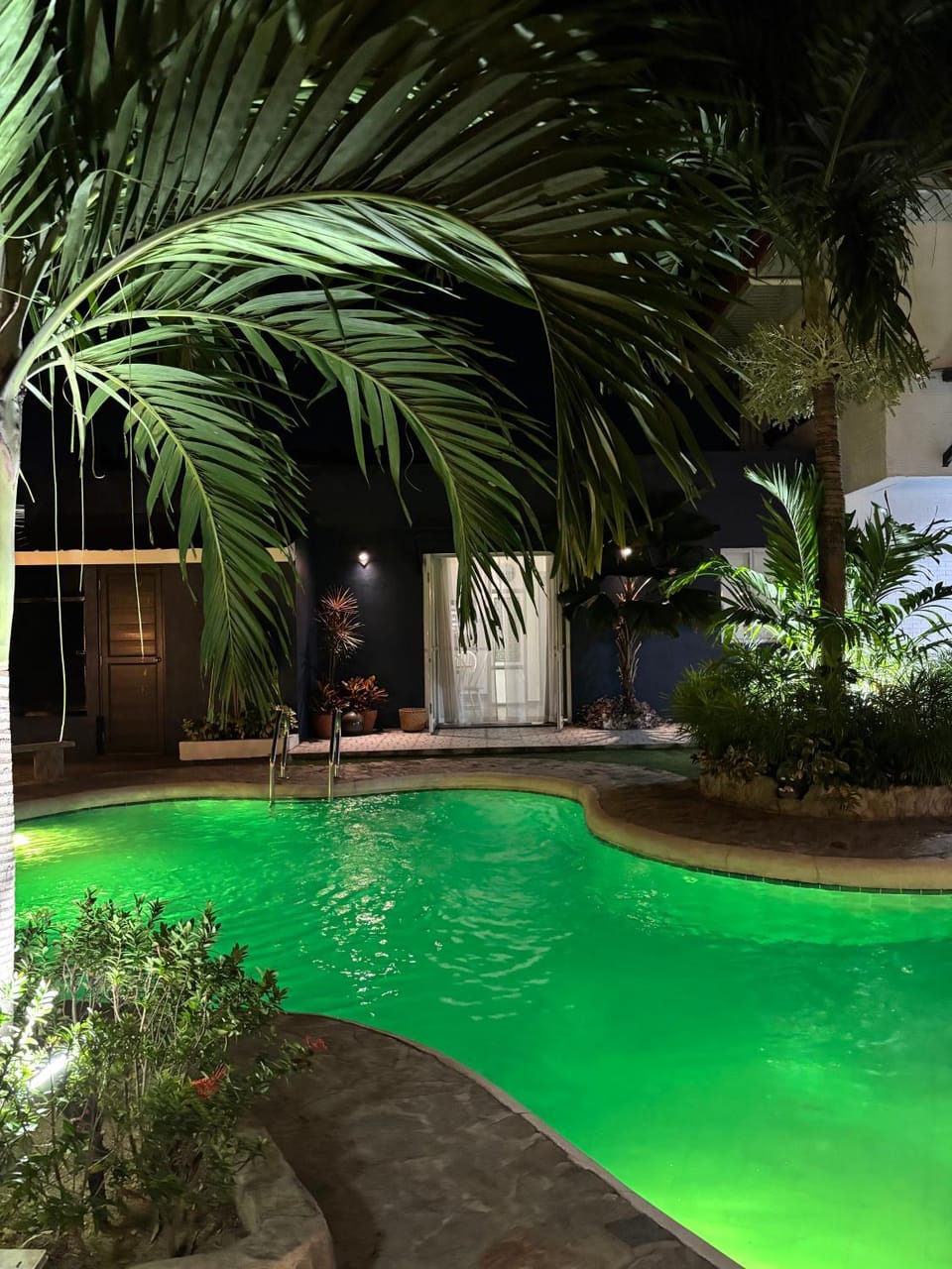 Night, Garden view
