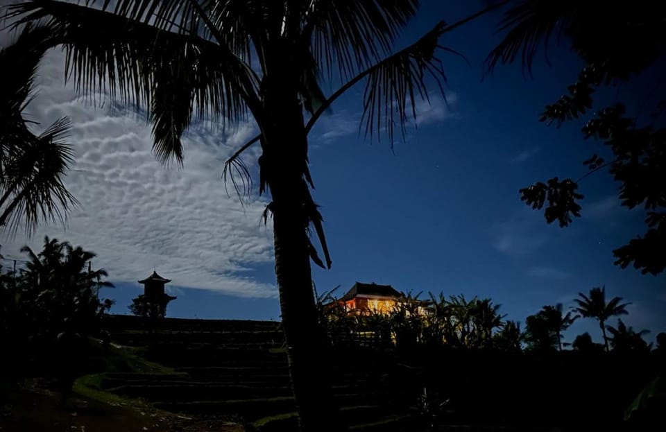 Night, Garden view
