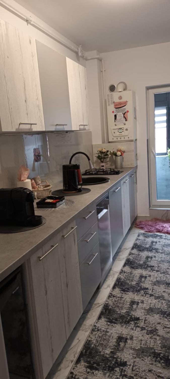 Kitchen or kitchenette, dishwasher, minibar, stove